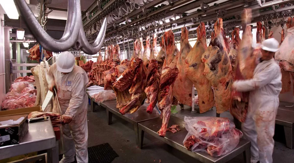 DESAFÍO. El Gobierno quiere transparentar toda la cadena de la carne. infocampo.com
