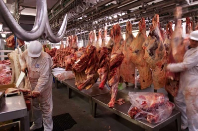 Sin controlador electrónico no se permitirá faenar