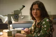 Aunque son más de la mitad de los becarios, pocas mujeres científicas llegan a cargos jerárquicos