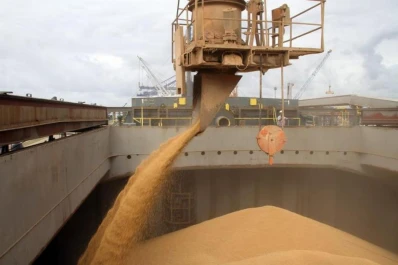 La agroindustria aportó el 40% de los ingresos por exportación nacional