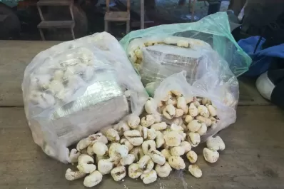 Insólito: secuestraron más de 2 kilos de cocaína escondidos en bolsas de tutucas