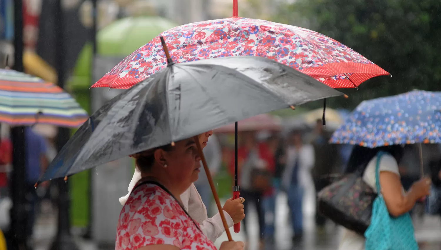 Tucumán no se encuentra en alerta, pero se podrían registrar lluvias. LA GACETA/FOTO DE ANALÍA JARAMILLO