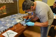 Uno por uno: quiénes son los integrantes de la banda de narcotraficantes rusos