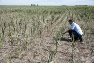 La Pampa húmeda enfrenta la peor sequía de los útimos 40 años