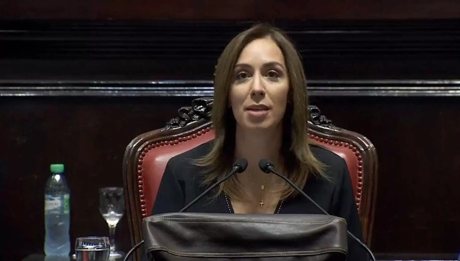 DURAS DECLARACIONES CONTRA LOS MAESTROS. En la Legislatura, Vidal cuestionó los pedidos docentes. (CAPTURA)