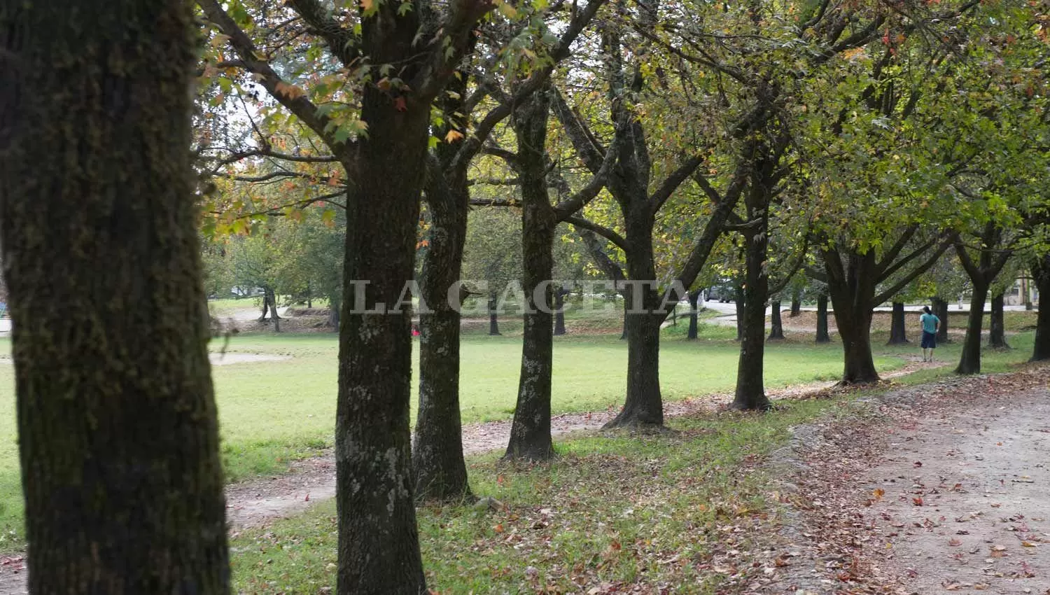 Parque Guillermina. ARCHIVO LA GACETA