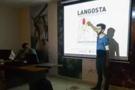 El monitoreo permanente en la región es la principal arma de lucha contra las langostas