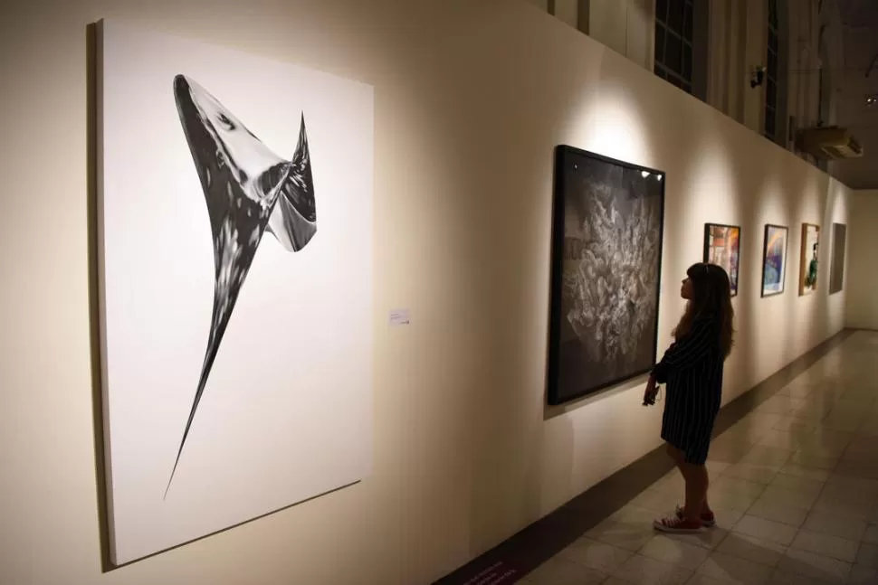 ABIERTA AL PÚBLICO. Las obras iluminadas integran la muestra del 45° Salón de Tucumán para Artes Visuales. LA GACETA / FOTOS DE DIEGO ARÁOZ.