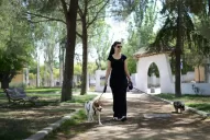 Los humanos podemos adquirir parásitos caninos