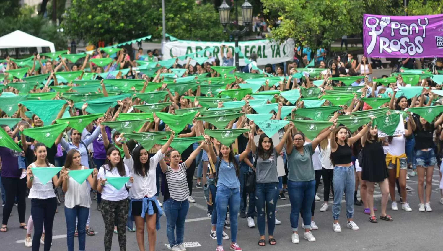 PAÑUELAZO EN PLAZA INDEPENDENCIA. Cientos de militantes pidieron por la despenalización del aborto. (FOTO GENTILEZA LUIS ERNESTO TEBES)