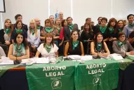 Despenalización del aborto: quiénes son los diputados que firmaron el proyecto