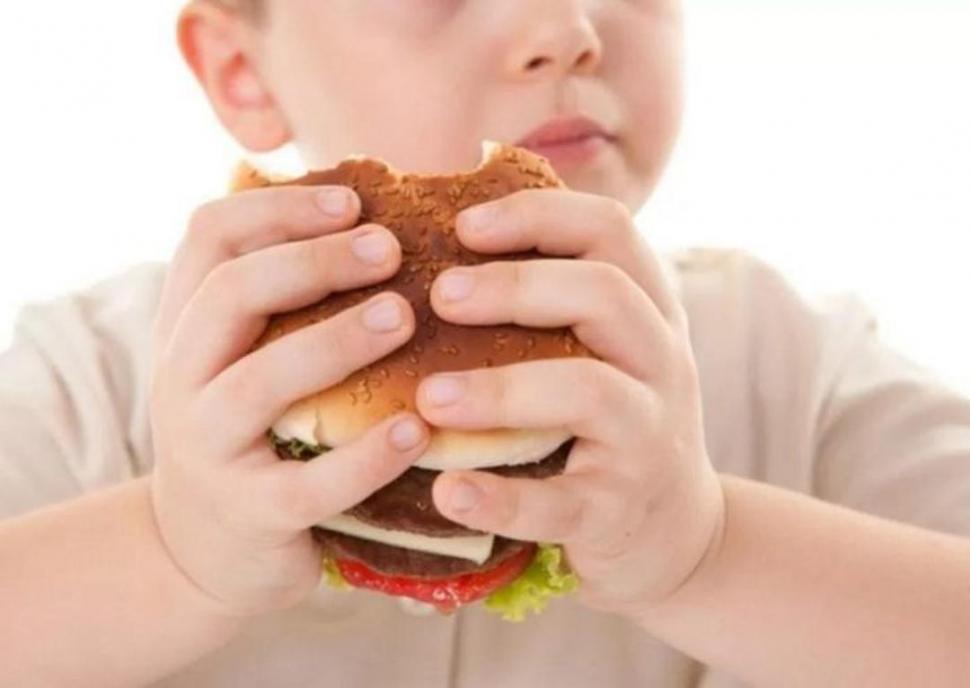 ADIÓS . La comida chatarra, las frituras y las gaseosas deben eliminarse de la dieta diaria de los niños. Es fundamental el trabajo de padres y de la escuela. rotativo.com.mx
