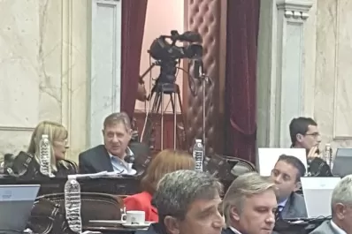 Se reedita la puja por los fondos para el sur por las inundaciones de 2017