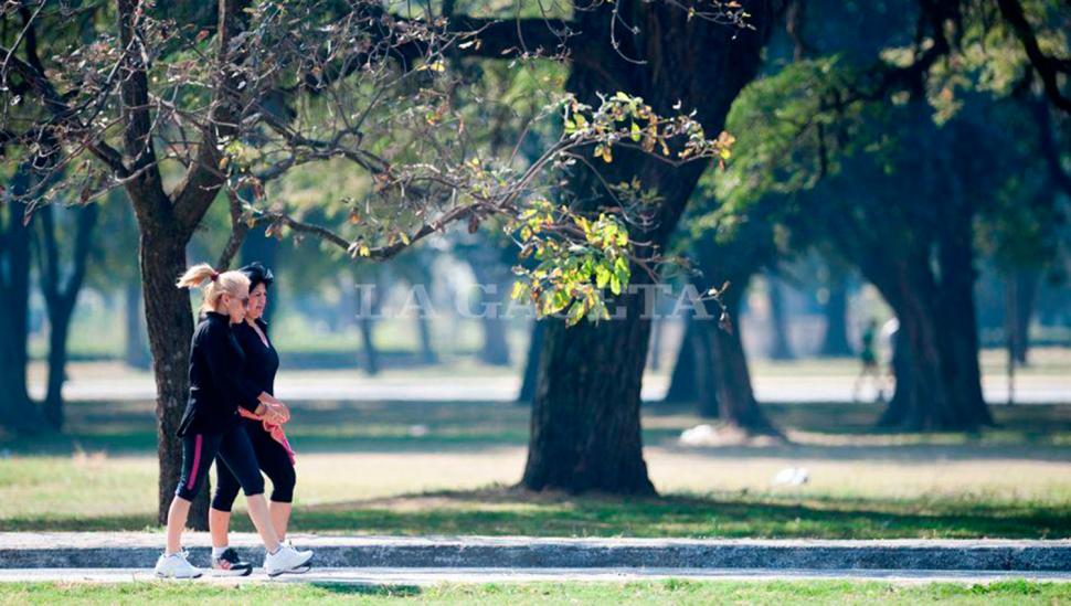 La semana arranca con cielo parcialmente nublado y temperaturas agradables