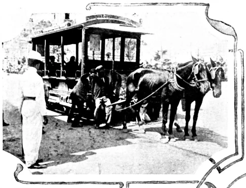 TRANSPORTE PUBLICO. El “tramway”, que comenzó a rodar allá por 1882, era tirado por dos caballos y su velocidad era marcada por el trote de los animales. Con tracción a sangre recorrieron nuestras calles hasta 1910, cuando se incorporó el motor eléctrico. En 1965 desaparecieron.  
