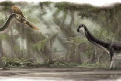El público conoció al dinosaurio volador más grande