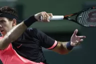 Del Potro venció al japonés Nishikori y avanza en Miami