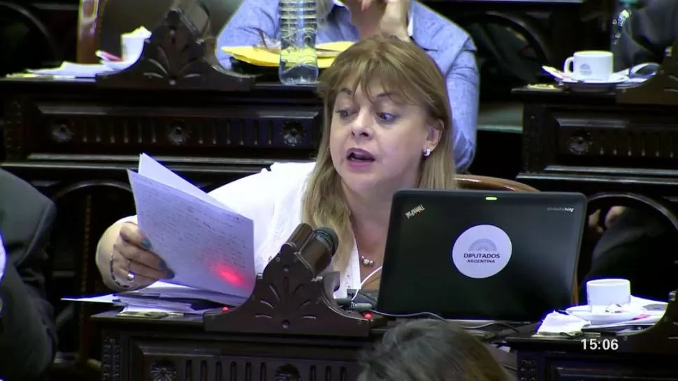 DUDAS. La ex diputada Gallardo de Dip refutó las cifras difundidas por la organización Directorio Legislativo. captura de video