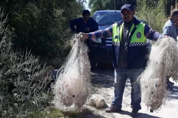 Secuestraron redes en Simoca
