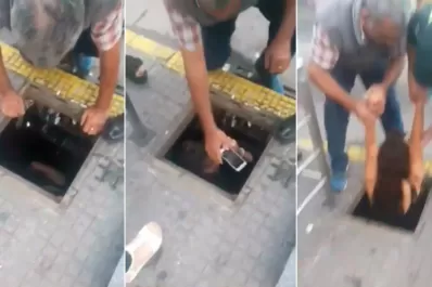 Insólito: se metió a una alcantarilla de Barrio Norte para recuperar su celular y todo quedó filmado