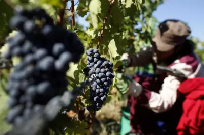 La Cooperativa Los Zazos, un ejemplo a seguir