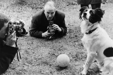 Pickles, el gran héroe con trágico final