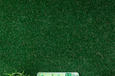 Los millennials apuntan a ideas sustentables