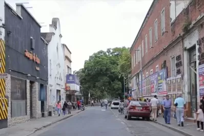 El proyecto para extender la peatonal hasta Mendoza al 800 genera controversias