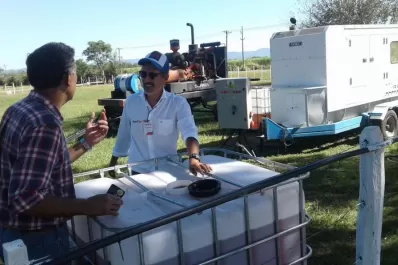 Electricidad desde la soja