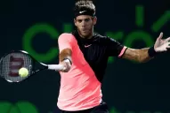 Del Potro jugará en Madrid, Roma y París para seguir escalando en el ranking