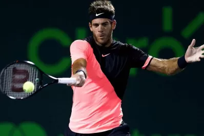 Del Potro jugará en Madrid, Roma y París para seguir escalando en el ranking