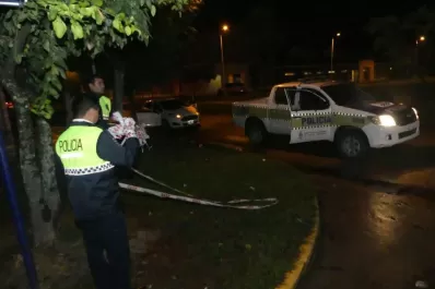 Investigan el trágico accidente que sufrió una motociclista en Concepción