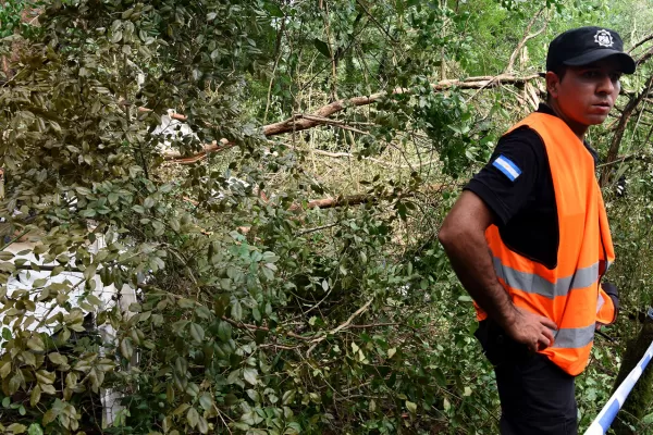 Los primeros resultados de las pericias a los restos del avión accidentado estarían listos la próxima semana