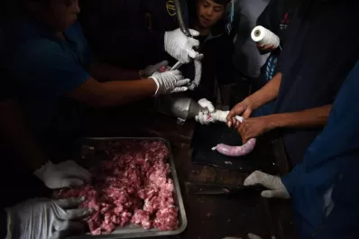 En Los Vázquez hay una fábrica de amigos para escapar de las drogas