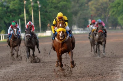 Se postergó la reunión por un brote de Influenza Equina