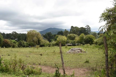 Después de un domingo fresco ingresará un frente cálido
