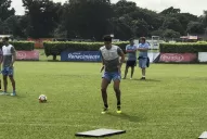 Corazón “Decano”