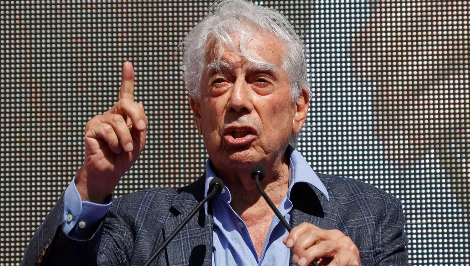 Mario Vargas Llosa. REUTERS