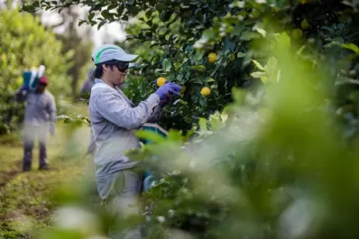 La empresa FGF Trapani pide que mejore la competitividad