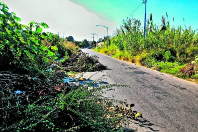 La basura y los yuyos ocupan las veredas y avanzan sobre la calzada
