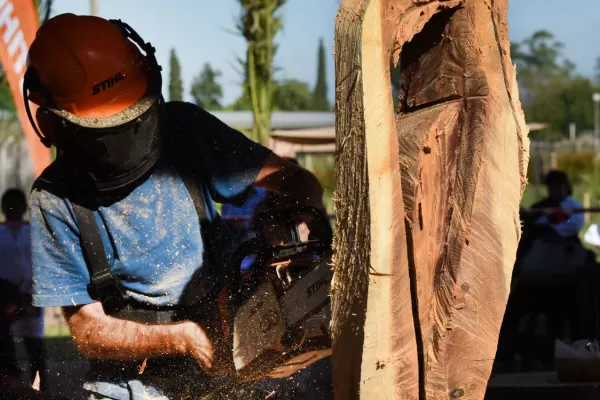 En el Encuentro Internacional de Escultores, la madera esconde obras únicas