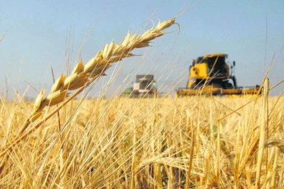 El mercado mundial ya asimiló la magra cosecha
