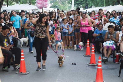 Héroes de cuatro patas