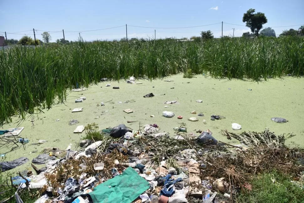 BASURA EN EL AGUA. Los vecinos de la zona de Juan B. Justo al 1.800 conviven con el agua contaminada.  la gaceta / foto de inés quinteros orio