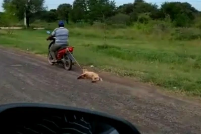Indignante: ató a su perra a la moto y la arrastró varios kilómetros por la banquina