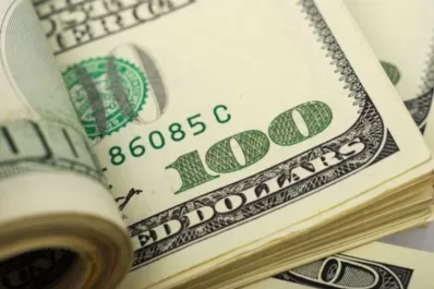 El dólar registró un nuevo récord: alcanzó los $ 25,51