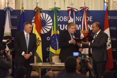 El titular de la OEA pidió mitigar la desigualdad
