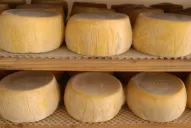 Trabajan sobre la Identificación Geográfica del queso Tafí