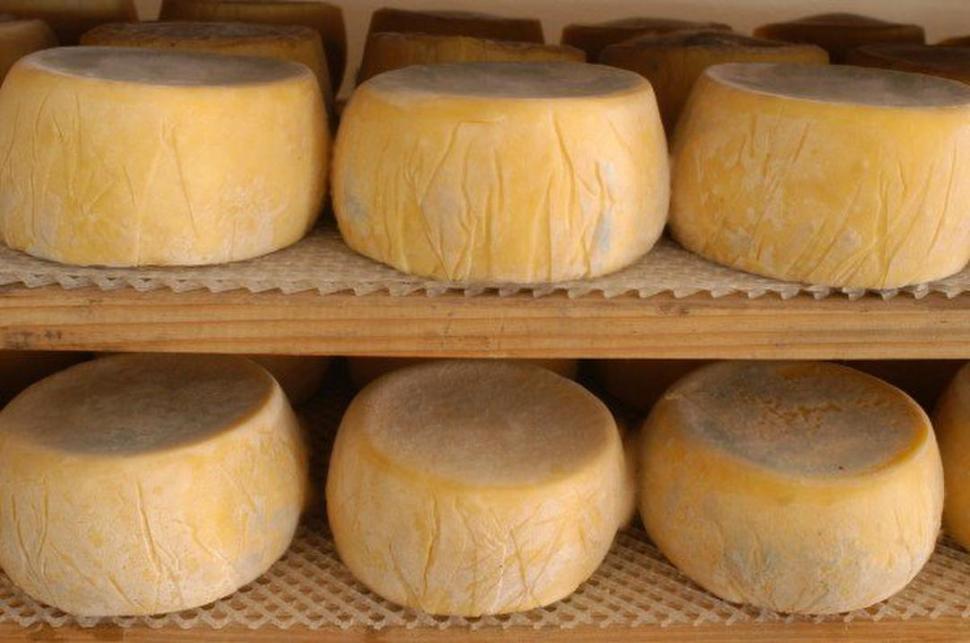 ESPECIAL. El queso tafinisto fue una de las producciones presentadas en la carpa industrial de la Expo Láctea 2018. 