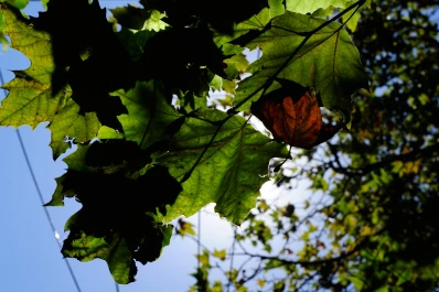 Anticipan una semana fría y sin lluvias para toda la provincia